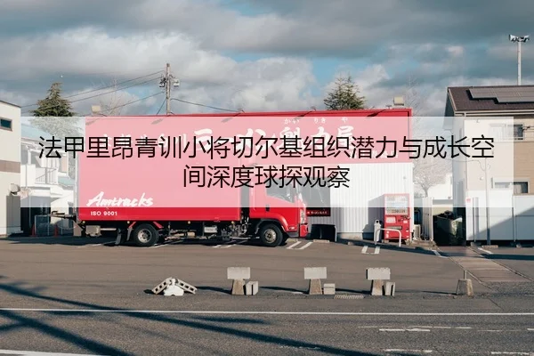 法甲里昂青训小将切尔基组织潜力与成长空间深度球探观察